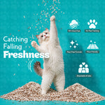 Load image into Gallery viewer, Biokitty Super Tofu Unscented Clumping Cat Litter 10L Biokitty