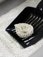 Load image into Gallery viewer, Biokitty Cat Litter - Natural | Unscent - 10L Biokitty