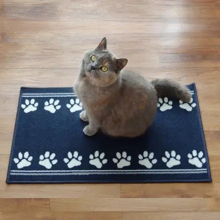 Cat Litter Mat - Pet Parade 40x70cm - Pet Mat Biokitty