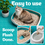 Load image into Gallery viewer, Biokitty Super Tofu Unscented Clumping Cat Litter 10L Biokitty