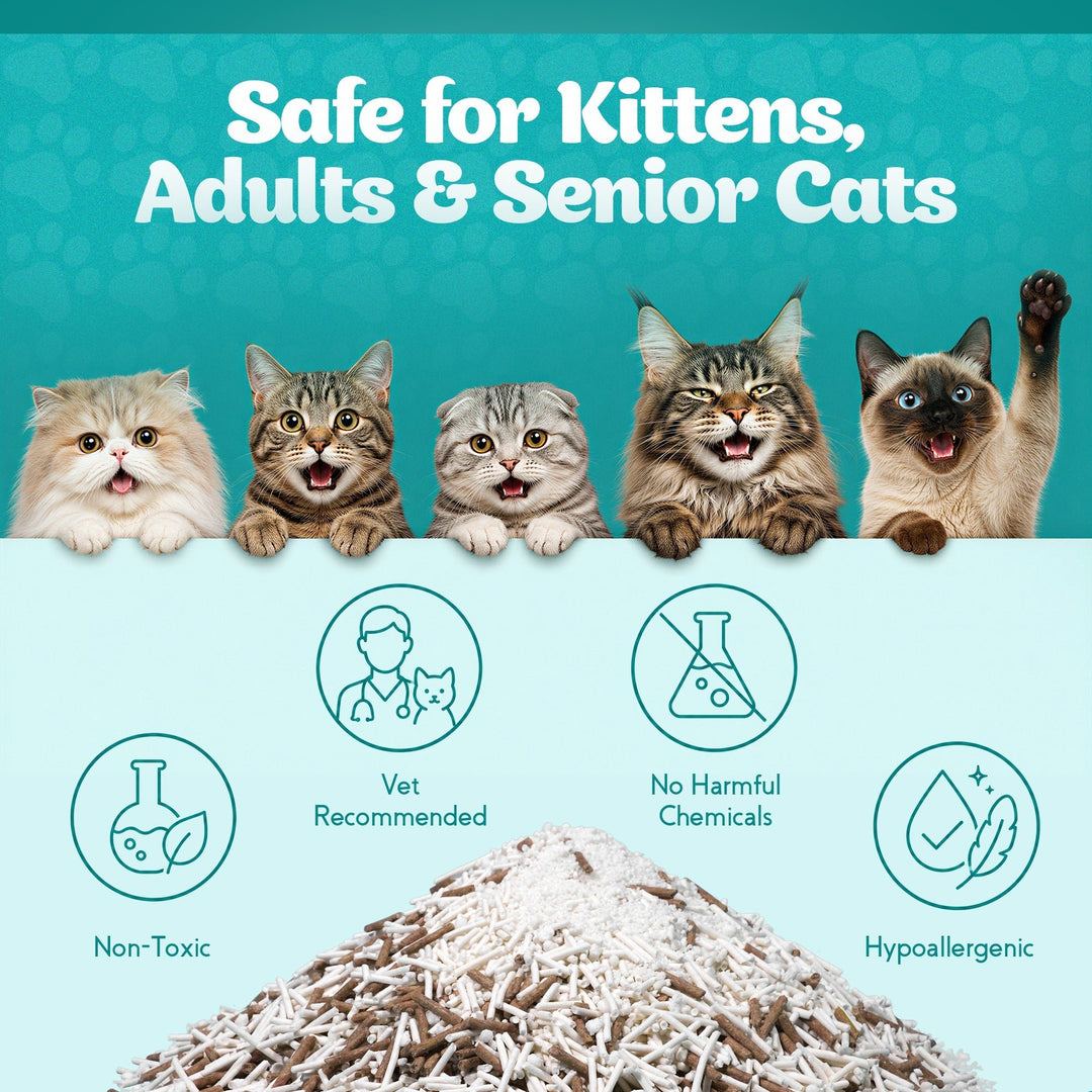 Biokitty Super Tofu Unscented Clumping Cat Litter 10L Biokitty